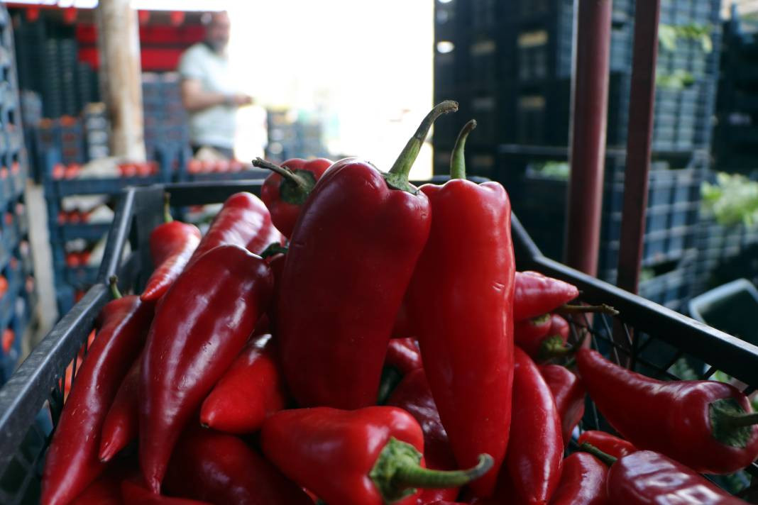 Market fiyatı tarlanın 5 katı! Kansere kalkan oluyor kalp krizini durduruyor - Resim: 25